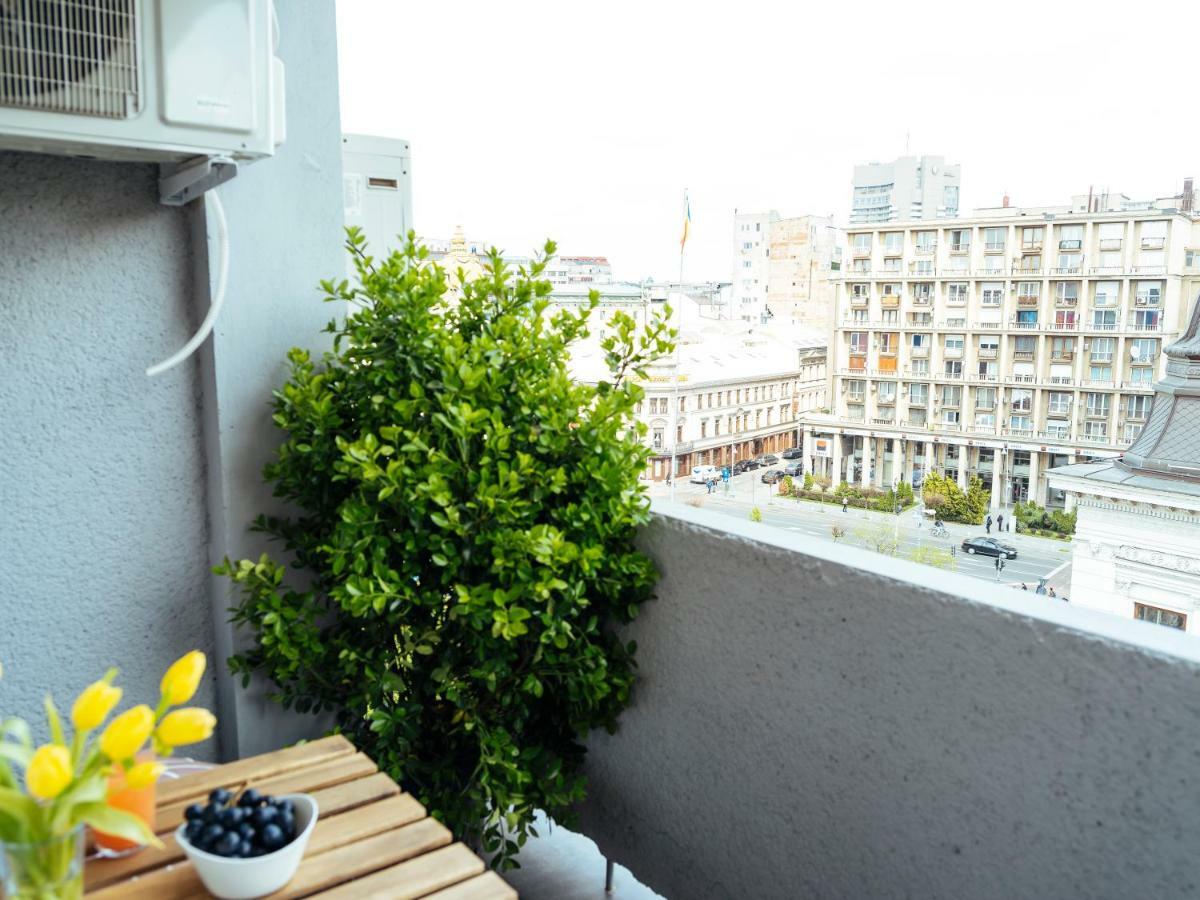 Amazing View - Top Location - Universitate Studio Bucarest Exterior foto
